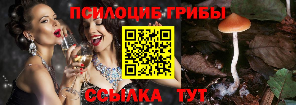 Меф Костомукша