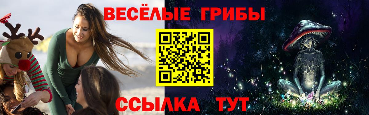 Псилоцибиновые грибы MAGIC MUSHROOMS  Псилоцибиновые грибы GOLDEN TEACHER  Вход с VPN  закладка  Костомукша 